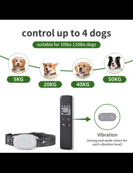 300 metre remote controlled dog training collar for up to 4 dogs IPX7 #1005