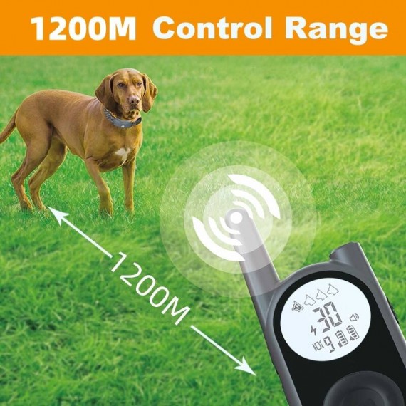DTC-1200-X1 Dog Training Collar for up to 4 dogs #1002