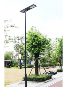 6500 Lumen one-piece solar street light #992